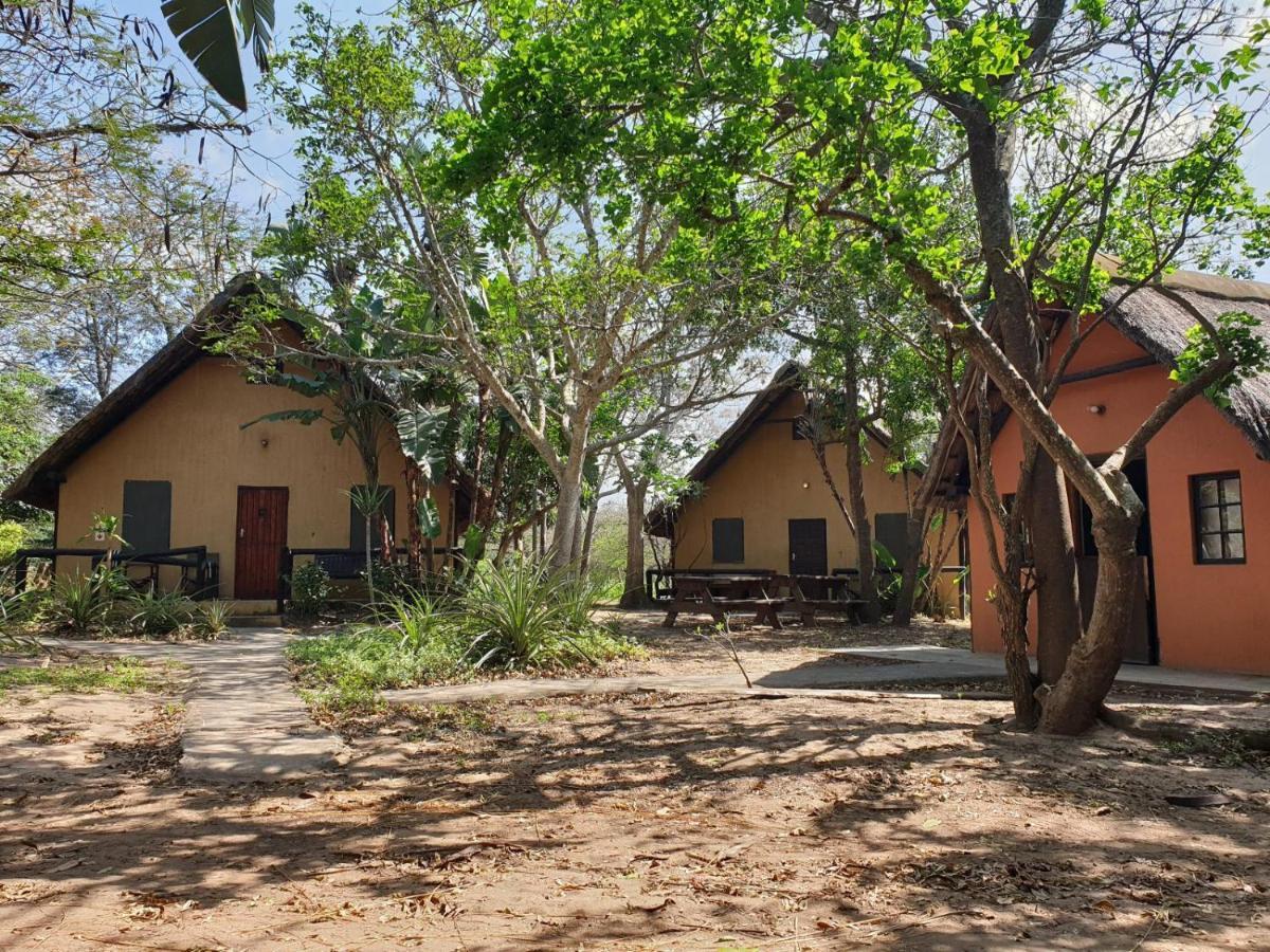 Pumusa Bushcamp Хлухлуве Екстериор снимка